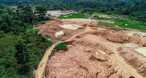 Illegal Mining: The irreparable damage fueled by greed to destroy our forest, rivers is most ...