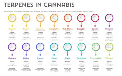 Cannabis contains over 100 Terpenes, each with its own unique benefits ...