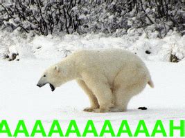 Angry Bear GIFs - Find & Share on GIPHY