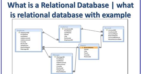 A Relational Database Can Best Be Described as