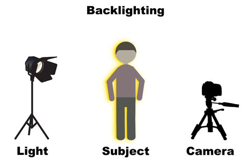 Backlighting in Photography: The Ultimate Guide to Beautiful Backlit Images