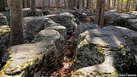 Stones River National Battlefield | TOUR STOP 2: SLAUGHTER PEN | Bringing you America, one park ...