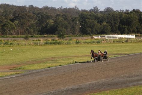 Harness racing training at the Menangle Park Paceway - a photo on Flickriver