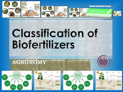 Classification of Biofertilizers PakAgriFarming PakAgriFarming