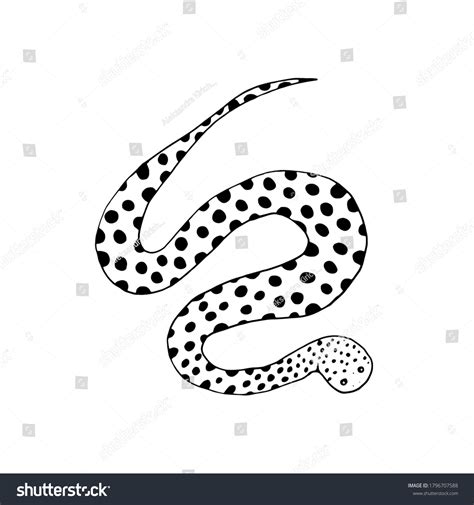 Bitis Snake Vector Illustration Black White Stock Vector (Royalty Free ...