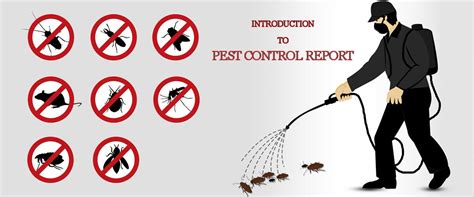 Pest Control Brisbane Checklist Report | Process Street