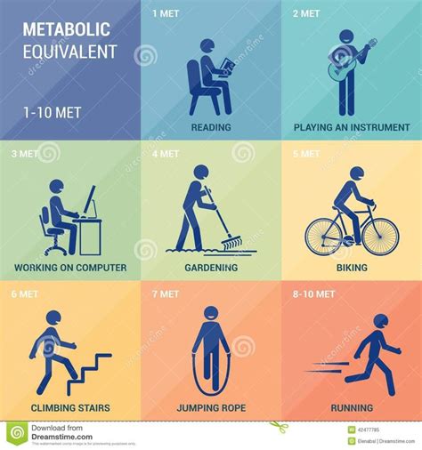 metabolic-equivalent-diagram-sample-activities-numeric-scale-42477785.jpg 1,300×1,390 pixels ...