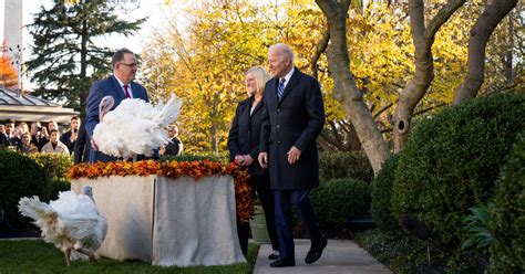 Biden Pardons Turkeys Ahead of Thanksgiving - The New York Times