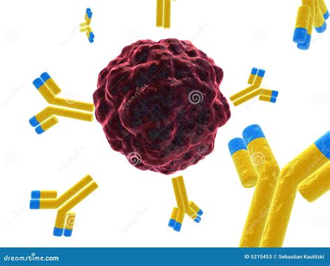 Cancer Cell With Antibodies Stock Illustration - Image: 5215453