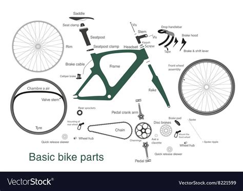 Infographic of main bike parts with the names Vector Image Bicycle Sport, Bicycle Gear, Bicycle ...