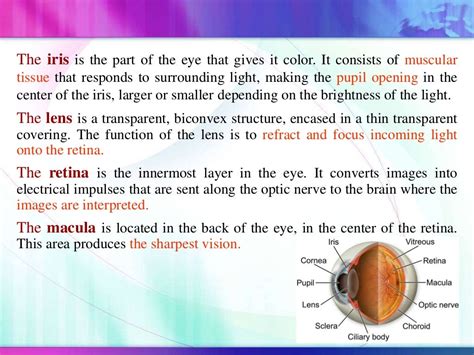 Ophthalmic dosage form: eye drops & ointment