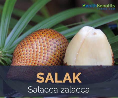 Salak Fruit facts and health benefits