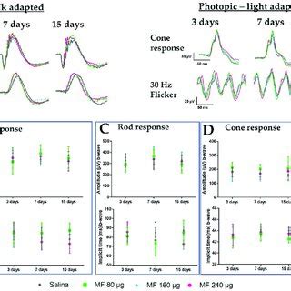 Electroretinography results in a safety study of the IVT injection of ...