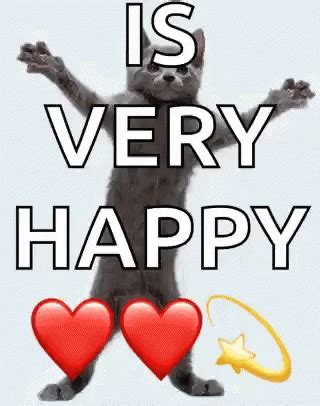 Cat Is Very Happy GIF - Cat IsVeryHappy - Discover & Share GIFs