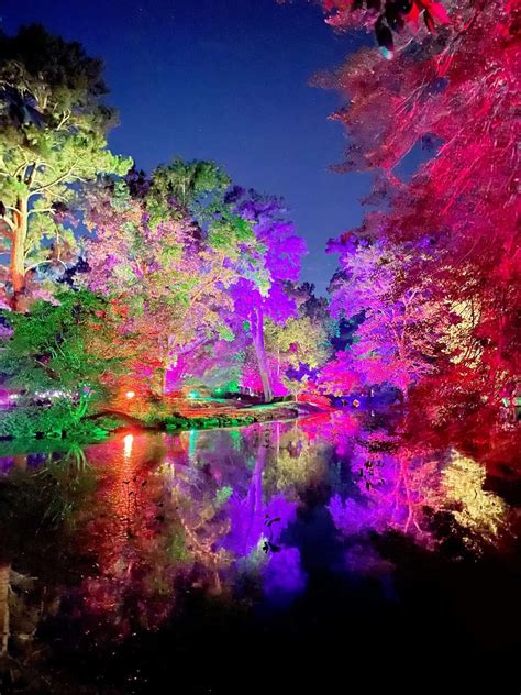 Maymont Expands Garden Glow presented by Kroger to 22 Nights, Including ...