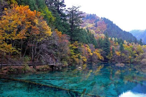 "Golestan Forest, Iran [1920x1280]" by two_line_pass in EarthPorn : r ...