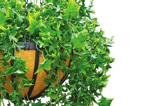 Artificial English Ivy Hanging Basket - Faux Ivy Pots | Commercial Silk