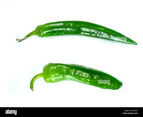 chili pepper, green isolated on white background Stock Photo - Alamy