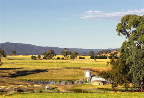 See & Do | Visit Macedon Ranges