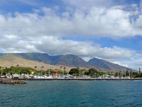 Top 5 Things to Do in Lahaina Maui | Lahaina, Lahaina maui, Things to do