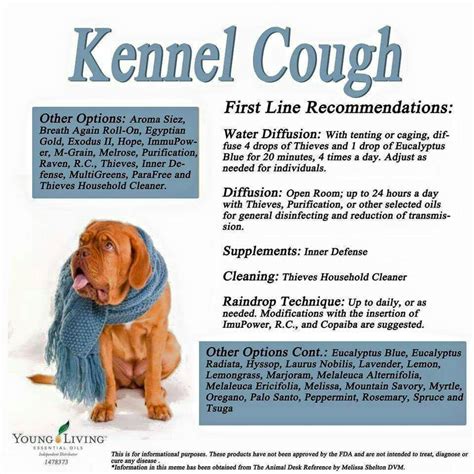 Kennel Cough Natural Remedy | Home and Garden Reference