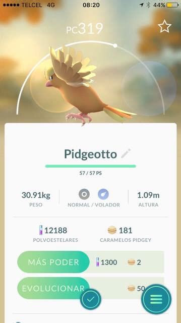 shiny pidgeotto : r/Pokemon_GO_News