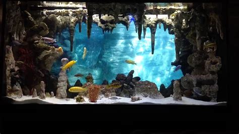 DIY Underwater Cavern Aquarium with 3D background - YouTube