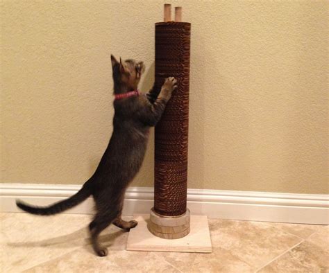 Cat Scratcher Tower : 4 Steps (with Pictures) - Instructables