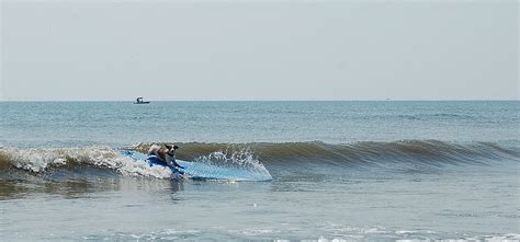 Coco surfing | Surfing, Outdoor, Water