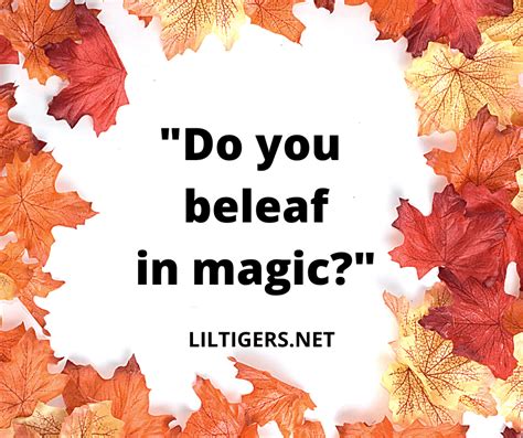 75 Best Leaf Quotes, Sayings & Captions - Lil Tigers