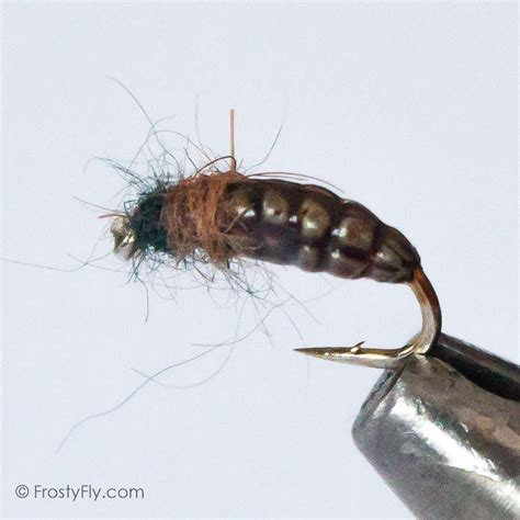 Realistic Caddis Larvae, Weighted - FrostyFly