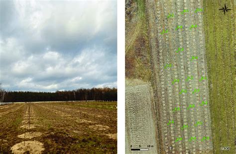 Arable land prepared for planting fruit trees (left), map of the study ...