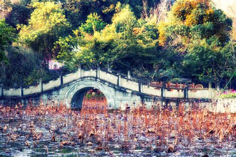 Culture Park, Chengdu, China Stock Image - Image of public, asian ...