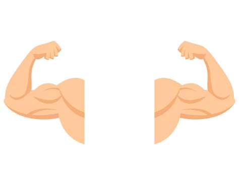 Cartoon Muscle Arms Illustrations, Royalty-Free Vector Graphics & Clip Art - iStock