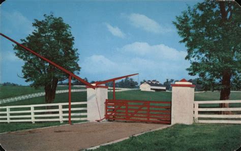 Calumet Farm Lexington, KY Postcard