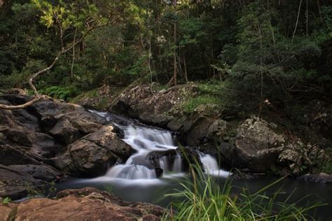 Conondale National Park – National Parks Association of Queensland