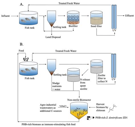 Recirculating Aquaculture System Diagram