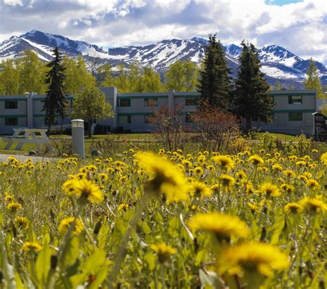 Inside Indian Country Today's APU Bureau - Alaska Pacific University