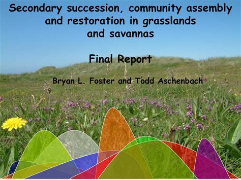 Secondary succession, community assembly and restoration in grasslands ...