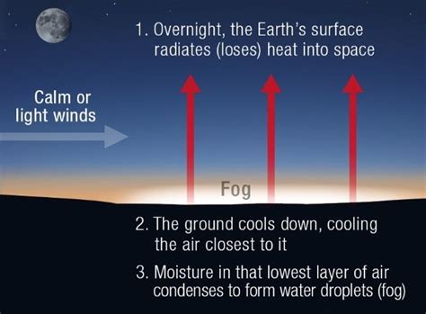 Explainer: what is fog? - Social Media Blog - Bureau of Meteorology