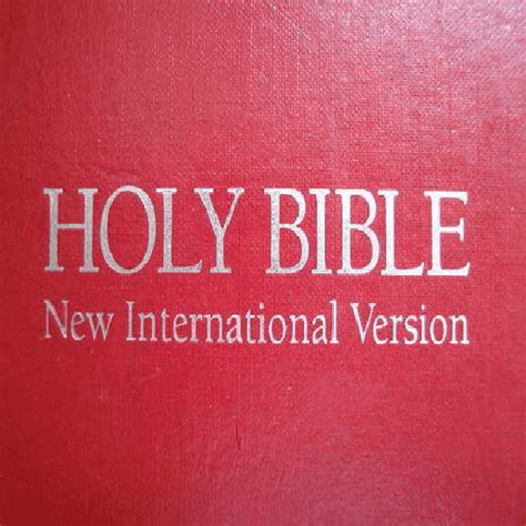 New International Version Bible - New Movie Releases DVD