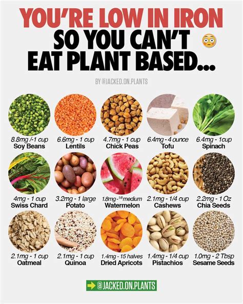 Plant Based Iron | Vegan iron, Food, Iron rich foods