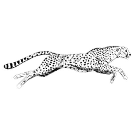 Running Jaguar Vector / This jaguar racing you are looking at here includes 2 files in eps, svg ...