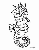 Printable Seahorse Coloring Pages – 30 Sheets  Easy Peasy And Fun sketch template