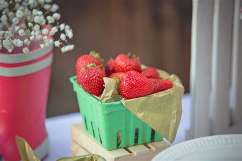 Vintage garden peppa pig theme Birthday Party Ideas | Photo 1 of 25 | Catch My Party