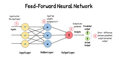 Gradient Descent vs. Backpropagation: What's the Difference?