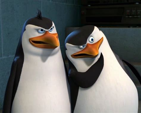 Rico the (Mad) Penguin :) - Rico:The Penguins Of Madagascar Photo (25562211) - Fanpop