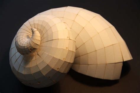 Paper Nautilus 3 | Cardboard sculpture, Paper sculpture, Paper art