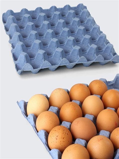 Free range eggs (Tray of 30) - Smiths Dairies