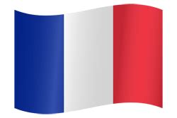 France flag vector - country flags